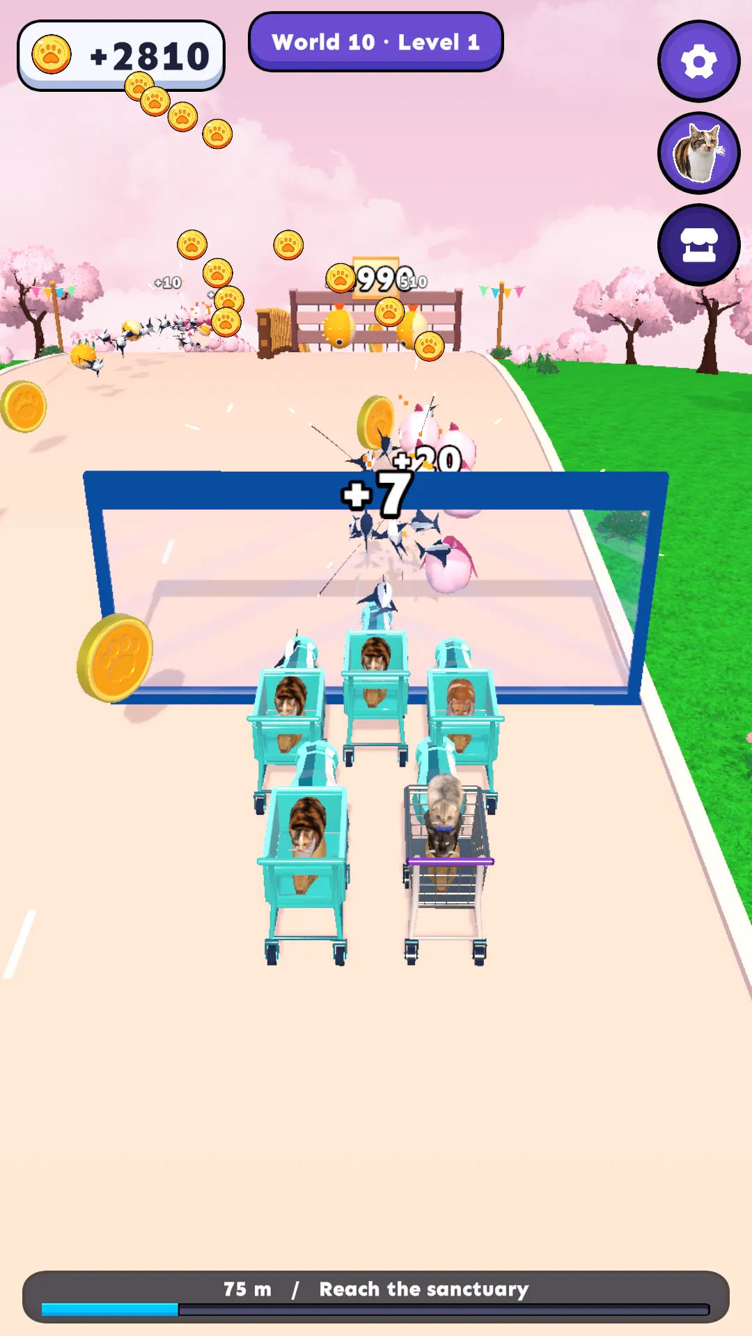 Shopping carts full of cats driving through gates under cherry blossoms